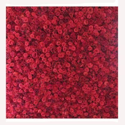 Silk Flower Wall Red Rose Flower Wall Panel for Wedding Decor Different Types to Customize Latest Designs Backdrop