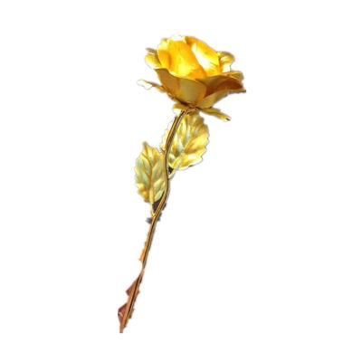 Galaxy Rose in Dome Glass Real Natural Preserved Rose in Glass Dome with Gift Box for Valentine&prime;s Day Mother&prime;s Day Wedding Gifts