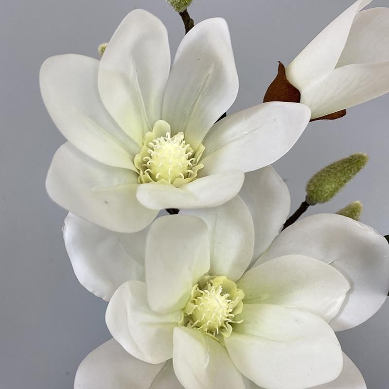 Factory Wholesale Real Touch 3D Print Magnolia Branches for Artificial Flower Tree