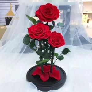 Eternal Red Roses in Glass Jar for a Romantic Gift or Wedding Decor