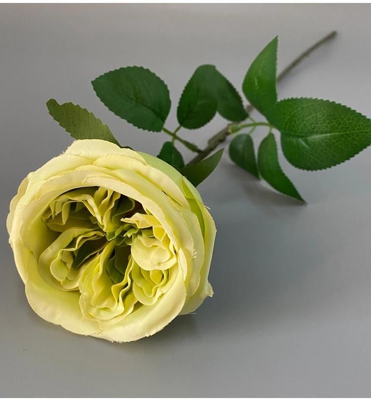 Hot Sale Artificial Austin Rose Flower for Home or Wedding Decoration