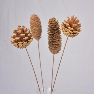 New Decorations Natural Christmas Pine Cones Colors
