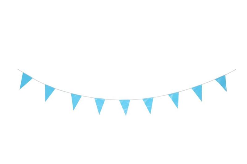 Plastic Party Printed Banner