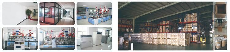Photochromic Pigment for Photochromic Paint