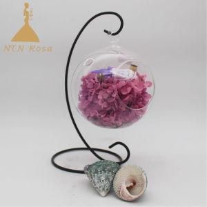 Fresh Preserved Flowers in Glass Ball for Shope Decoration