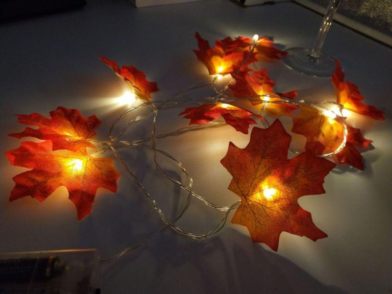 Outdoor LED Christmas Star Night String Light & Christmas Decoration Light