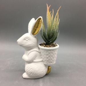 Lovely White Succulents Plant Rabbit