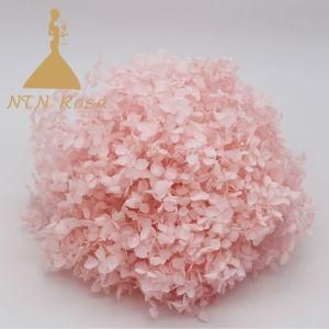 More Than 30 Colors Preserved Hydrangea Flowers for Wedding Decor