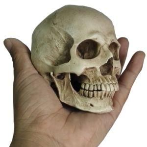 Custom Resin Skull Head, Resin Animal Skull, Flat Back Resin Skull