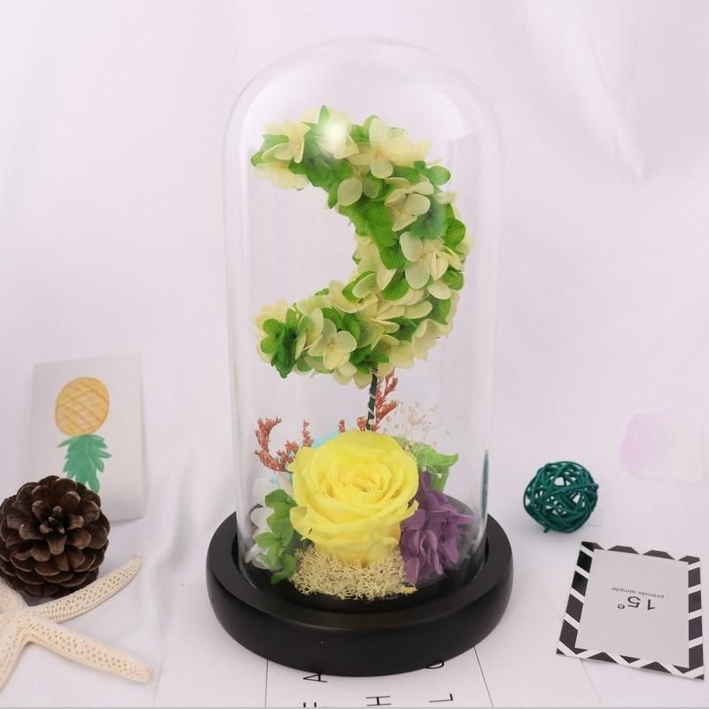 2018 New Arrival Real Preserved Rose in Glass Dome for Wedding Decoration with LED Light