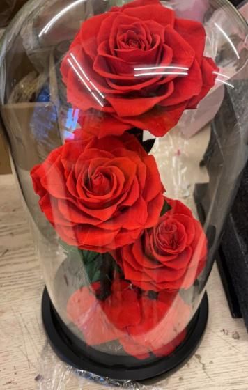 Eternal Rose -Preserved Real Rose in Glass Dome Gift Eternal Flower, Beautiful Gift for Valentine′s Day Mother′s Day Christmas Anniversary Birthday