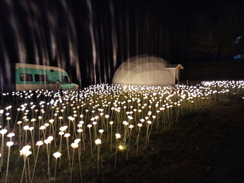 Garden Decoration Landscaping LED Flower Christmas Lights for Market Retail