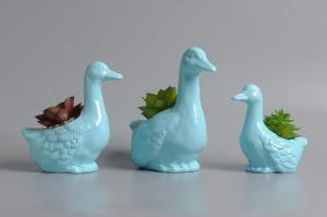 Multi Color Ceramic Duck Decoration with Plant