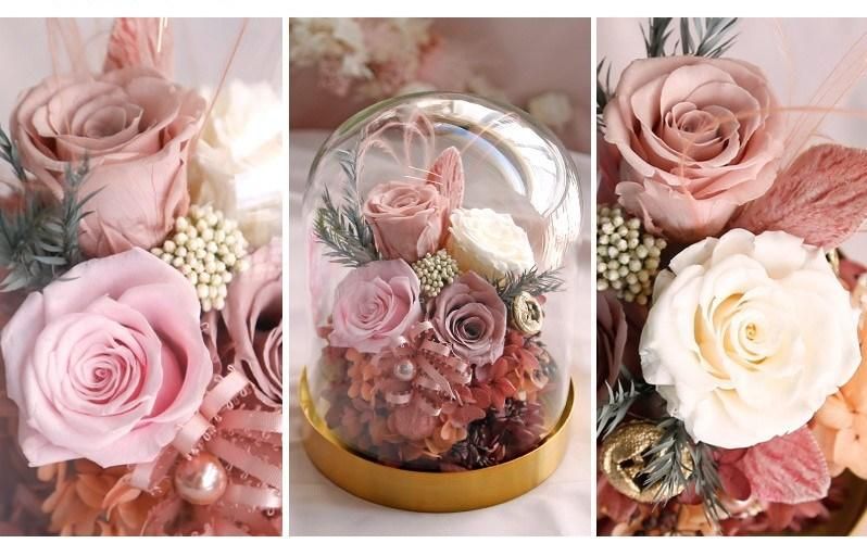 Wholesale Roses Preserved Long Lasting in Glass Dome with Box