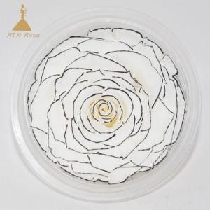 Christmas Decorative Bonsai Design Choose Preserved Glitter Rose Flower