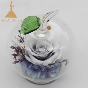 Beautiful Forever Rose in Apple-Shaped Glass for Dorm Decoration