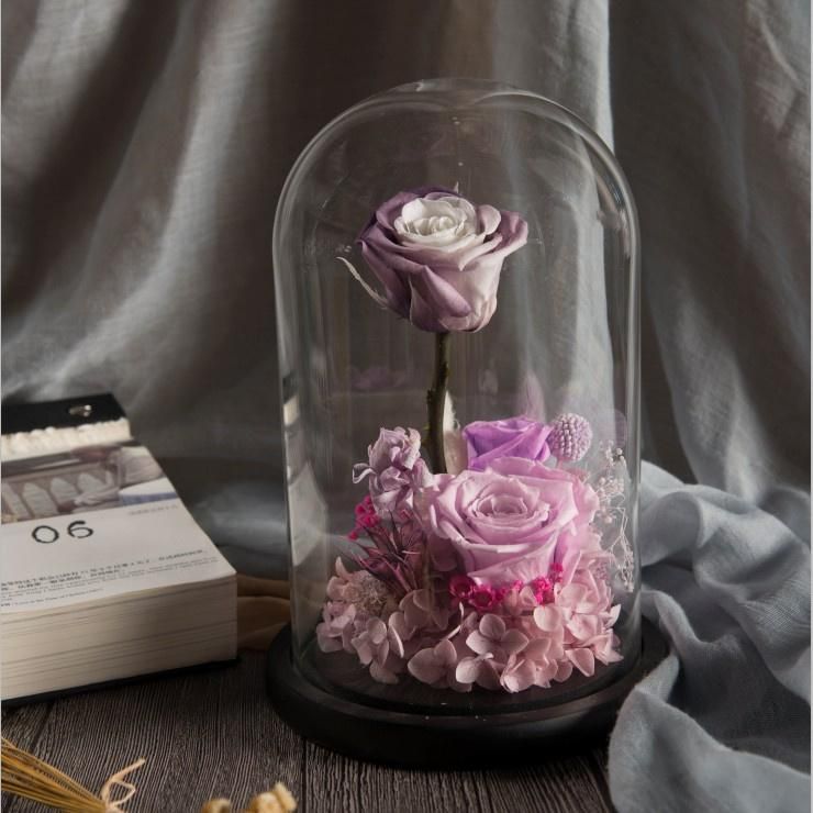 New Arrival Beautiful Christmas Gift in Glass Dome Natural Real Fresh Preserved Flower Preserved Roses