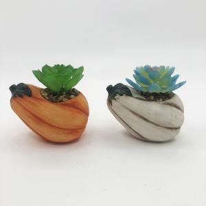 Halloween Pumpkin Succulent Pot