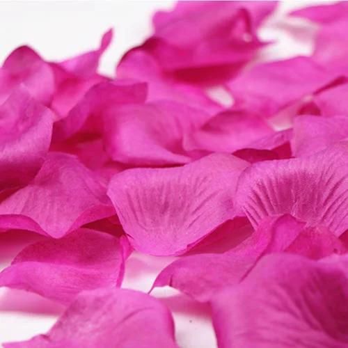 Decorative Fuchsia Dried Rose Petal