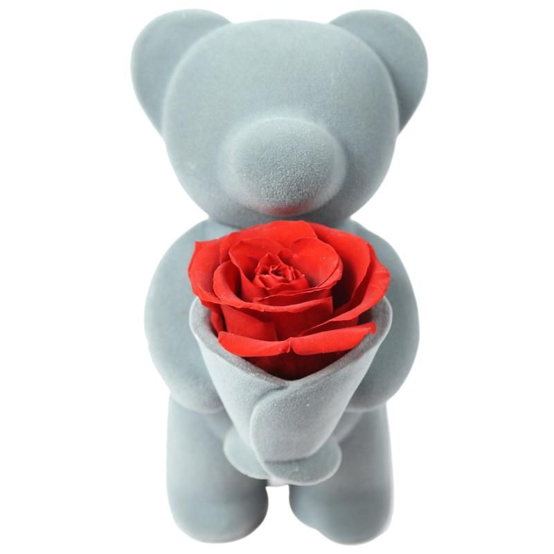 Wholesale New Products Honey Bear Preserved Roses Flower Box Christmas Gift