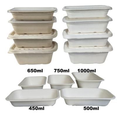 Wholesale Biodegradable Sugarcane Bagasse Food Paper Lunch Containers Togo