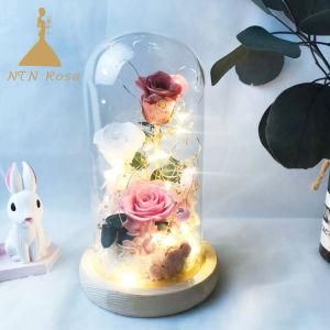 Long-Lasting Valentine Flowers in Bell Glass From Kunming Florist