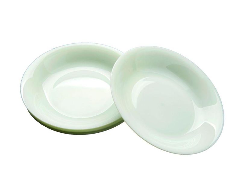 Eco Friendly Biodegradable Compostable PLA Tableware Set