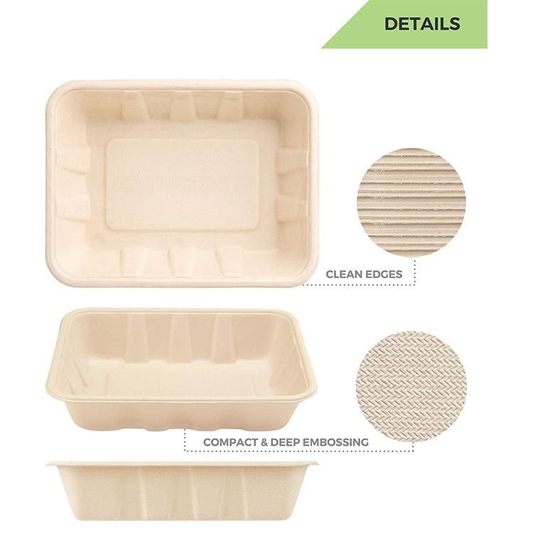 Customized Eco Friendly 100% Biodegradable Compostable Diaposable Sugarcane Box