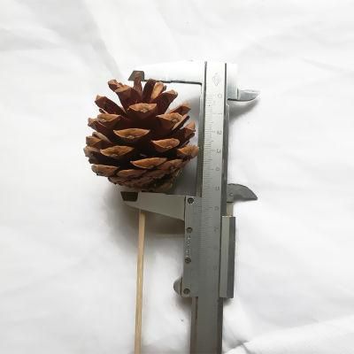 Nature Pine Cone for Christmas Decoration