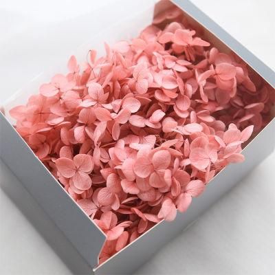Preserved Flower Hydrangea, DIY Arrangements and Pieces of Decoration, No Water Needed