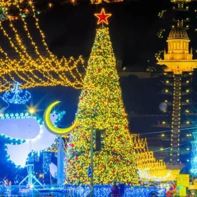 China Manufacturer Waterproof Outdoor Christmas Tree for Public Accessories