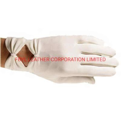 Fashion Women Bridal/Wedding Gloves (JYG-29319)