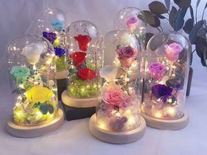 Party Gifts Decoration Supplies Long Life Flower Rose in Glass