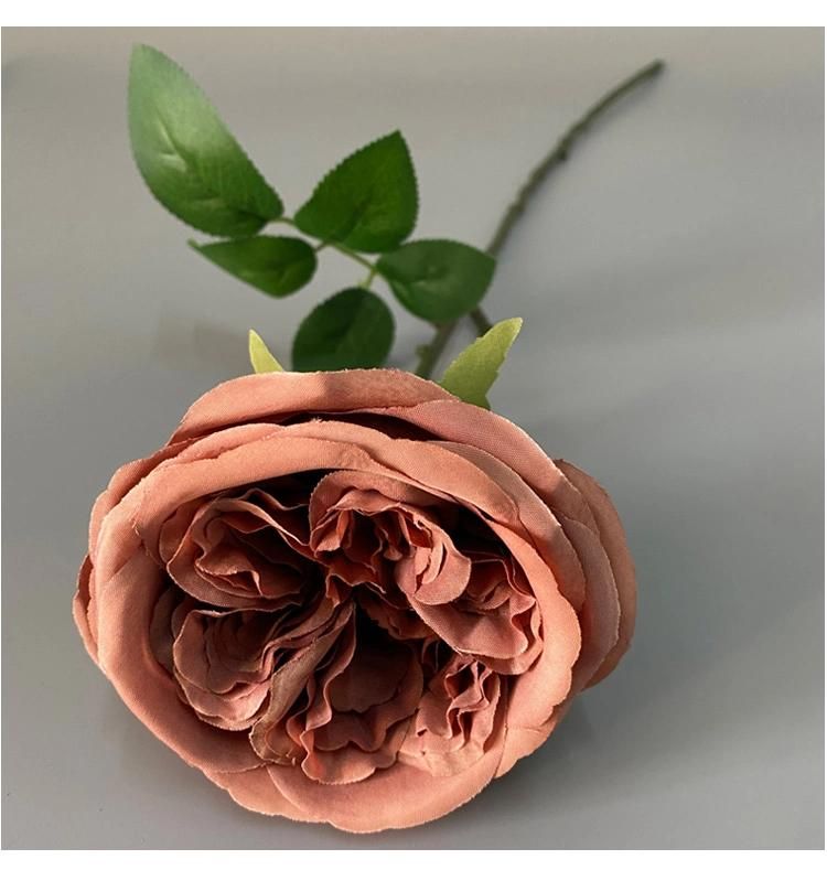 Hot Sale Artificial Austin Rose Flower for Home or Wedding Decoration
