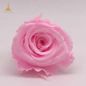 Forever Rose Flowes Offers Long Lasting Rose Decoration