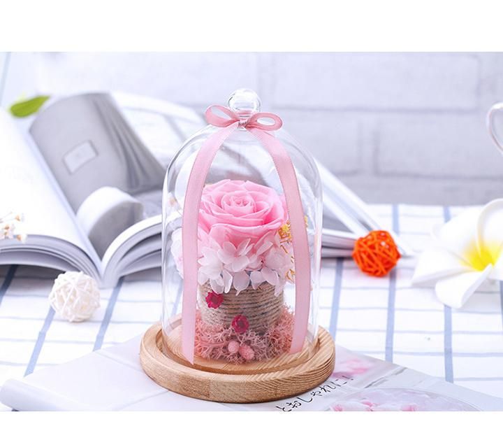 Wholesale Natural Long Lasting Flower Dried Glass Cover Preserved Roses
