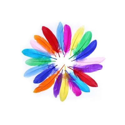 Wholesale DIY Colorful Feather