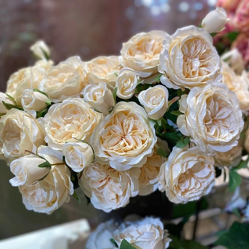 High Quality Artificial Austin Rose Flower for Wedding Decoration