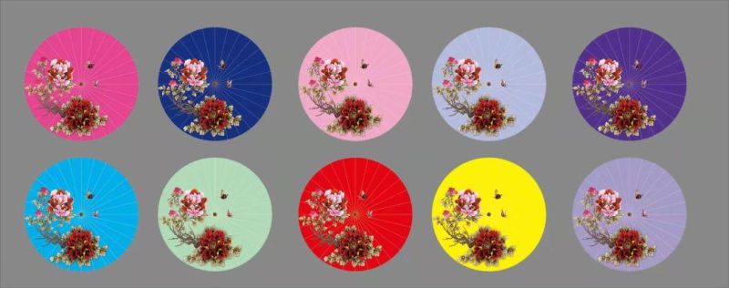 Oiled Paper Umbrella, Handmade Oiled Paper Umbrella Plum Pattern Chinese Art Classical Dance Umbrella for Performance Prop