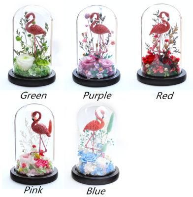 100% Fresh Natural Long Life Real Preserved Flower Preserved Bird Rose in LED Light Glass Dome