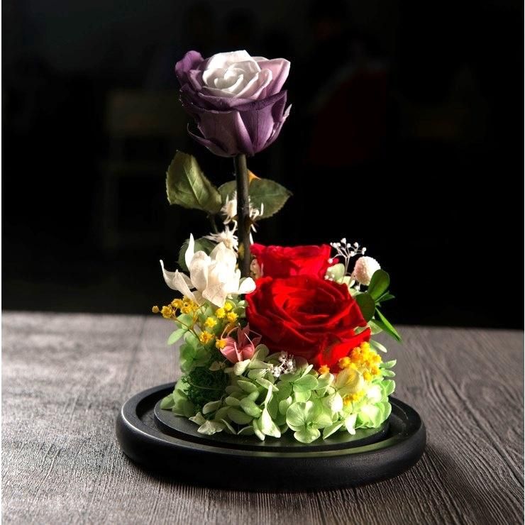 2018 Hot Products Artificial Flowers Valentine Day Gift for Girlfriend Preserved Rose Flower