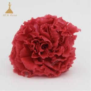 Wedding Decorative Flower Preserved Carnation Flowers for Forever Love
