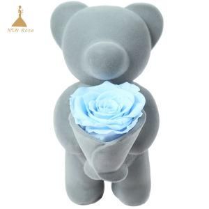Teddy Bear Holding a Preserved Rose Blue