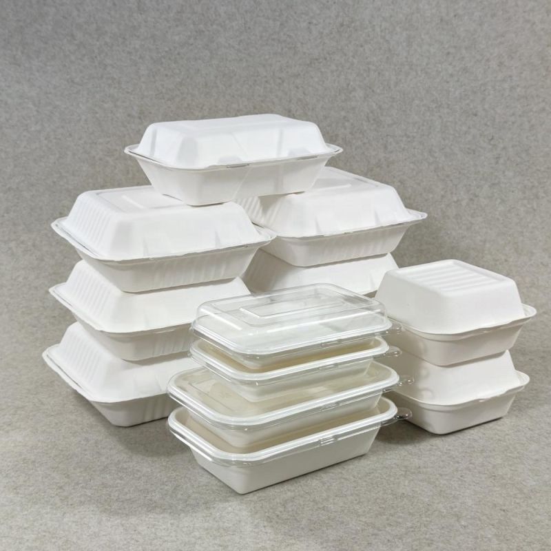 Wholesale Biodegradable Sugarcane Bagasse Food Paper Lunch Containers Togo