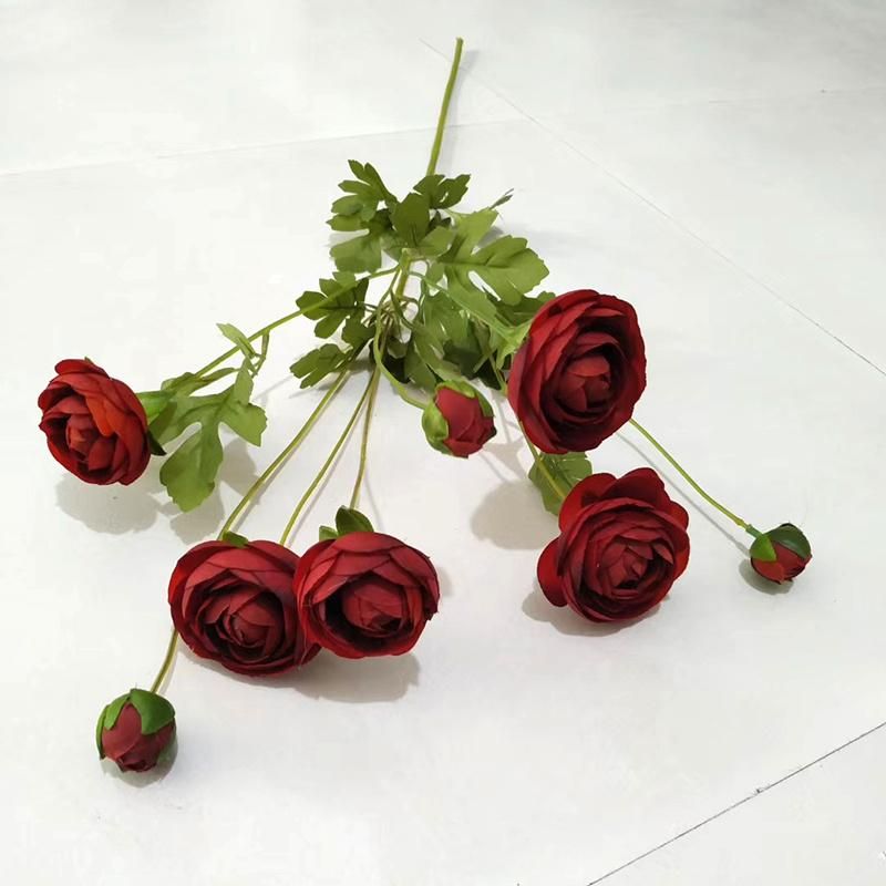 High Quality Elegant Peony Flower Wholesale