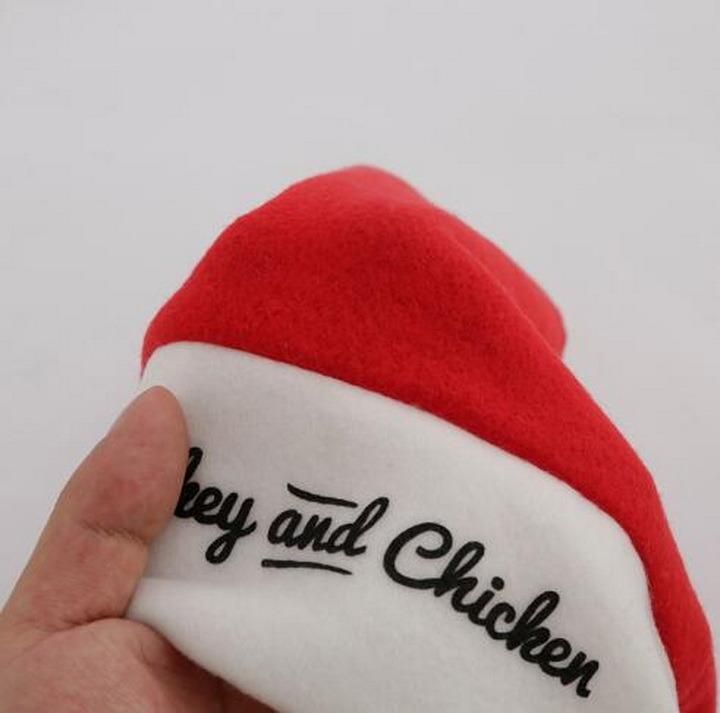 Custom Adult Fleece Christmas Santa Hat