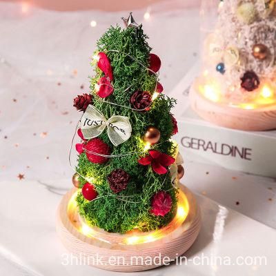 2021 christmas Gift christmas Flower christmas Decor christmas Lights Gift Ideas