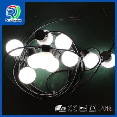 Wedding Decoration Festival Decoration LED Ball Light String Light