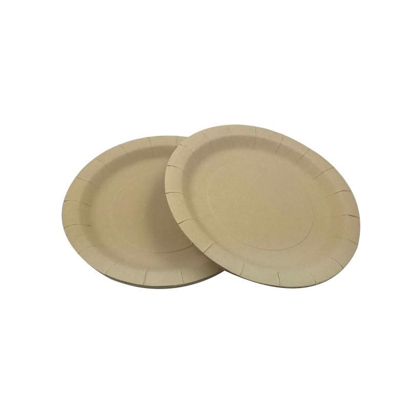 Eco Friendly Biodegradable Bamboo Birthday Party Paper Plates