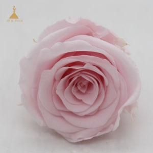 3-4 Cm Fresh Long Lasting Rose Flowers for Christmas Decoration